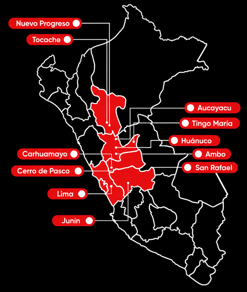 Servicios Cargo rounded